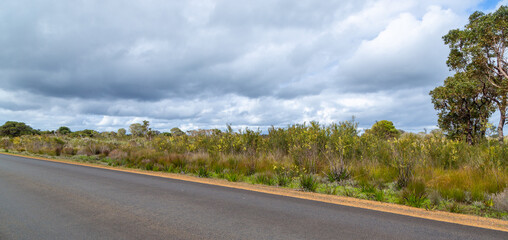 tarred road east of Augusta in the southwest of Western Australia