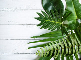 tropical leaves on wood top table