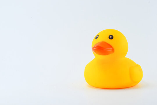 Isolated photo of a cute rubber yellow duck