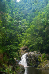 waterfall in the rain forest