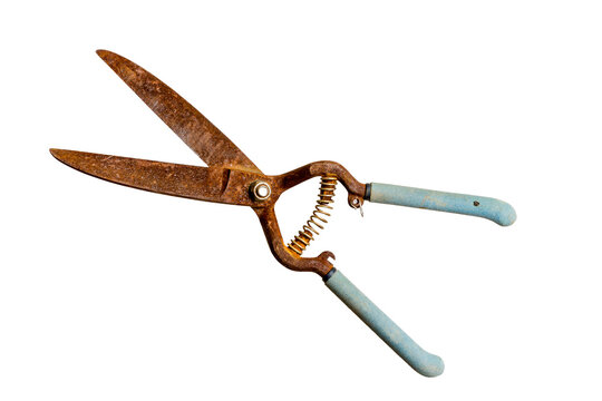 Antique Pruning Sheers