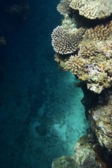 奄美大島 No.18 クレバス