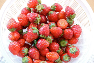ザルに入った苺
