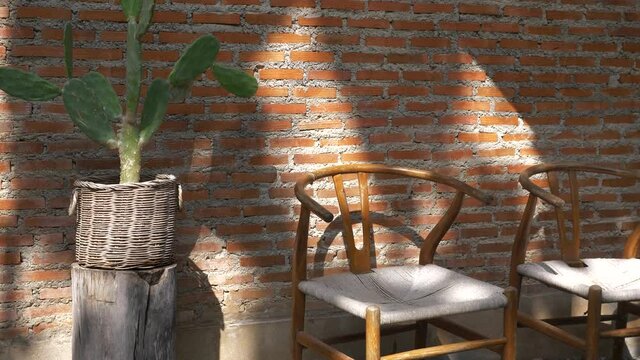 wooden chairs castus and brown brick wall with shadow and light , relax conner concept.