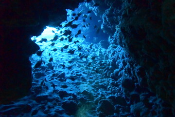 奄美大島 No.19 洞窟