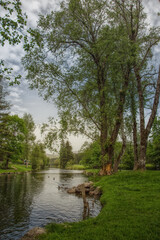 Fototapeta na wymiar A river in the park with ducks