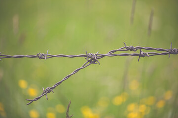 Close up of a barbed wire with a soft background