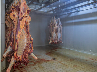 Carcass in a cow slaughterhouse