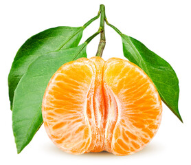 Isolated tangerine. Peeled citrus segments with leaves isolated on white background with clipping path 