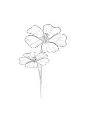 line art-Poppy flower Minimalist contour drawing. One line artwork,floral pattern for design linear art
