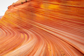 Obraz premium The Wave sandstone formation in Arizona