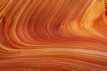 The Wave sandstone formation in Arizona