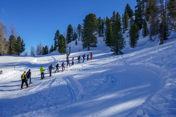 Fototapeta premium Schneeschuhwanderung einer Gruppe in den Alpen