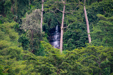 A waterfall hidden deep in the lush rainforest