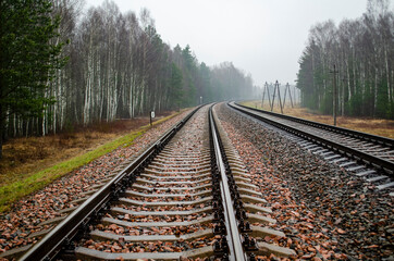 Fototapeta premium railroad landscape with rails