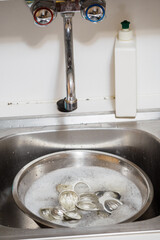 Walnut molds with water and bubbles in a metal bowl in the sink.
