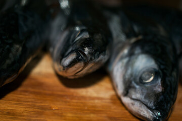 Fish on a wooden background. Mackerel ready to be cleaned and cooked