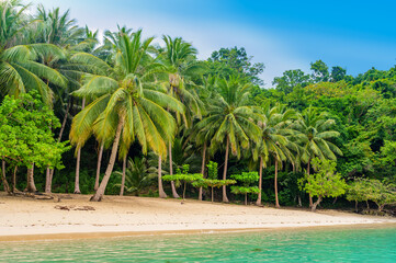 Albaguen Island (also known as Maxima and Albguan island) in Port Barton Bay with paradise white...