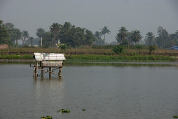 Fototapeta na wymiar prawn cultivation firm at sundarban of west bengal