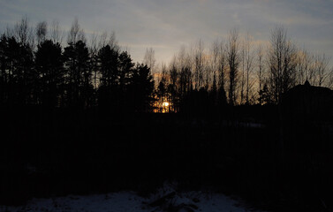 Fototapeta premium Big sun over the silhouette of black forest trees at sunset