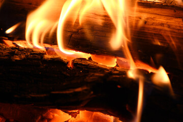 wood logs on fire in close up