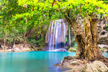 Beautiful waterfall in tropical jungle forest with big green tree and emerald lake on foreground....