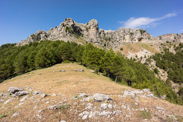 Fototapeta na wymiar Loma del Calar de Cobo y Puntal de Misa, 1796 metros, Parque Natural de las Sierras de Cazorla, Segura y Las Villas , provincia de Jaén, Spain