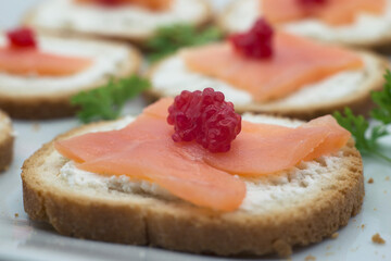 Closeup of appetizers toast with salmon and cheese in a white plate