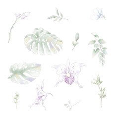 Set of watercolor Flowers orchids, watercolor illustration
