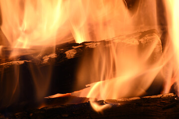 wood log burning in a fire place 