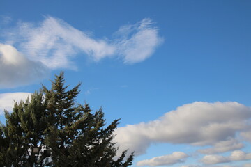 clouds white and blue