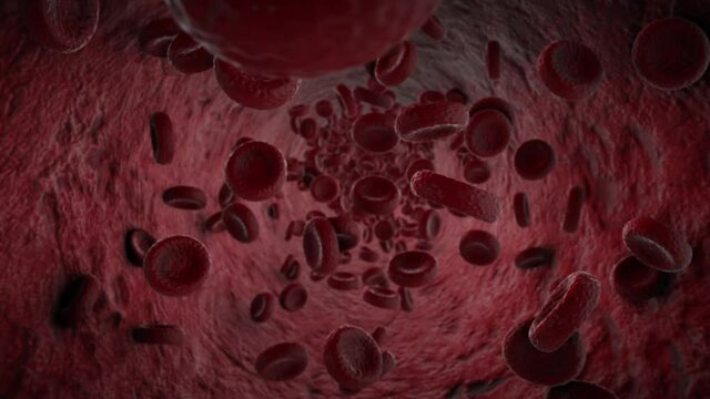 Moving 3D Blood Cells Stock Video 