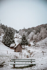 winter in the mountains