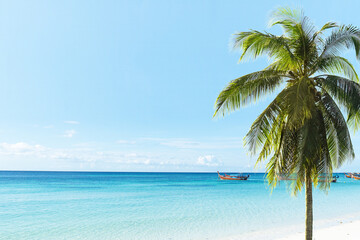 Fototapeta na wymiar Tropical paradise. Palm or coconut trees on beach and turquoise sea in Lipe island.