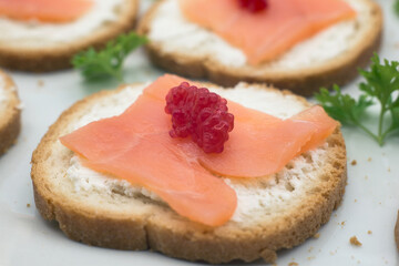 Closeup of appetizers toast with salmon and cheese in a white plate