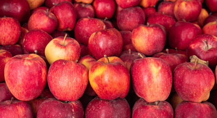 Fototapeta na wymiar A Closeup of full red juicy apples in large quantity