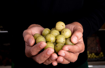 A person showing closeup of fresh green gooseberry or emblica myrobalan in his hands.