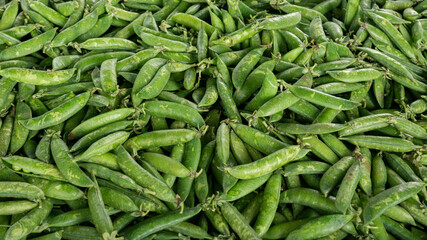 Fresh Green Peas in a large amount for sale.