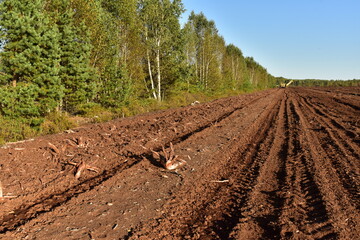 Landscape on peatlands where being development of the peat. Drainage of peat bogs at extraction site. Drilling on bog for oil exploration. Wetlands declining and under threat.