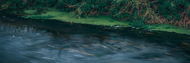 Long exposure close-up of the flowing stream. Panoramic shot. High resolution sharp photo. Panorama banner.