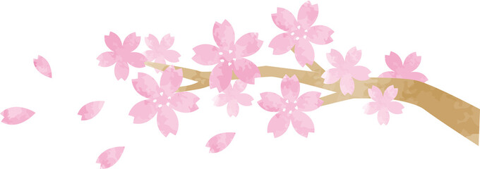 水彩風、満開の桜の木の枝