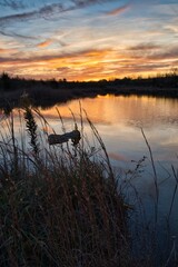 Sunrise reflecting off of quarry and lake on brisk fall morning. Amazing colors of firey sky light up the morning. Orange and red contrast with blue in sunrise or sunset