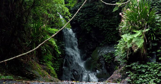 Elabana Falls flowing in the Lamington National Park with Lush greenery and leaves	
