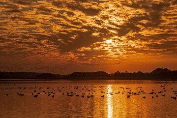 Sonnenuntergang am Rangsdorfer See