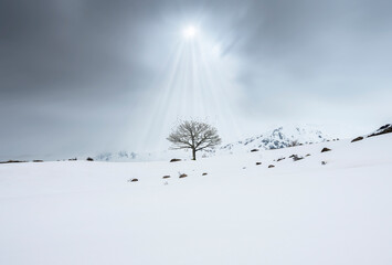 Winter mountain landscape - Fine Art