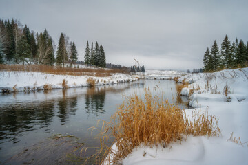 river in winter. tall spruce trees and bushes of yellow grass, covered with white snow, grow on the undulating banks of the river. plants are reflected in water