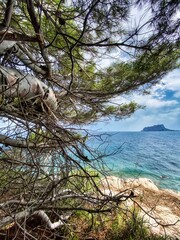 rocks and blue sea views at the beach