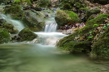 soft clear flowing water in a gorge and green nature