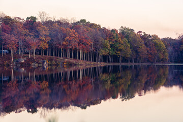 Trees along a shoreline reflecting in a still morning lake