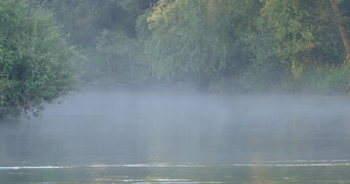 Morning mist on the natural Drava River in Croatia